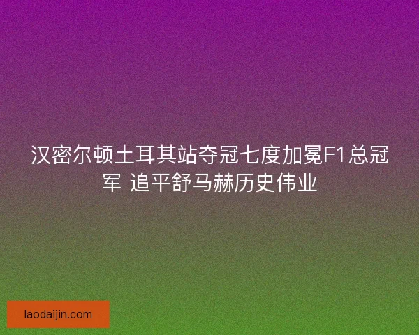 汉密尔顿土耳其站夺冠七度加冕F1总冠军 追平舒马赫历史伟业 汉密尔顿土耳其站夺冠七度加冕F1总冠军 追平舒马赫历史伟业